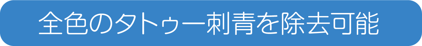 全色のタトゥー刺青を除去可能